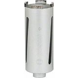 Bosch Professional Elmas Özel 65 mm Matkap Ucu