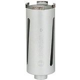 Bosch Professional Elmas Özel 65 mm Matkap Ucu