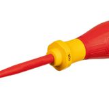 Bosch Professional VDE Torx Tornavida TX 25 x 100mm (1x Tornavida TX 25 x 100mm)