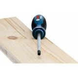 Bosch Profesyonel TX40x125 mm Torx Tornavida