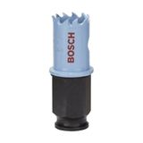 Bosch Sheet Metal 19 mm 2608584780 Panç Testere