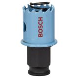 Bosch Sheet Metal 25 mm 2608584784 Panç Testere