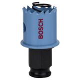 Bosch Sheet Metal 27 mm 2608584785 Panç Testere