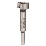 Bosch Tas Menteşe Açma Ucu 25 Mm