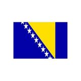 Bosna hersek Bayrağı (30x45 cm)