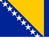 BOSNA HERSEK ÜLKE BAYRAĞI 45x22CM DUVAR TABLOSU ÇERÇEVESİZ PVC TABLO
