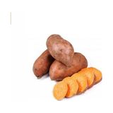 BOŞNAK MANAV Ithal Tatlı Patates Boşnak Manav 6kg - 6 kg