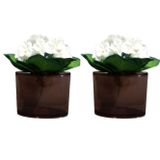 Bosphorus 2 ADET VAZO DAHİL,VAZODA ÇİÇEK,BEYAZ YAPAY ÇİÇEK,VAZO DEKORATİFOVAL KAHVERENGİ 13X5X15CM