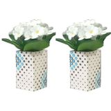 Bosphorus 2 ADET VAZO DAHİL,VAZODA ÇİÇEK,BEYAZ YAPAY ÇİÇEK,VAZO DEKORATİFPUANLI POLİRESİN 6X6X15CM