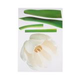 Bosphorus XFG002 Çiçekli Şeffaf Filmli Pvc 50x70 cm Duvar Stickerı
