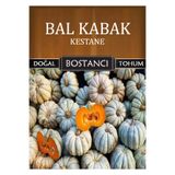 bostancı Yerli Kestane Bal Kabağı Tohumu Doğal Yerli Balkabağı Tohumu Pakette 100 Gr 240 Tohum