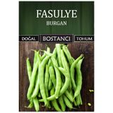 bostancı Yerli Oturak Burgan Fasulye Tohumu Doğal Yerli Tohum Pakette 100 Gr 160 Tohum