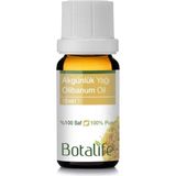 Botalife %100 Saf Akgünlük (Siğla) Yağı (Olibanum) 10ML (Boswelia Serrata)