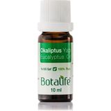 Botalife %100 Saf Doğal Okaliptus Yağı 10 ml Özellikleri ile Solunum Yolu Sağlığına Destek