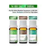 Botalife %100 Saf Nane Yağı, Okaliptüs Yağı ve Biberiye Yağı 10ml Üçlü Set Nane-okaliptus-biberiye10ml