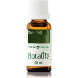 Botalife 20 ml Çam Yağı