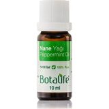 Botalife 20 ml Nane Yağı