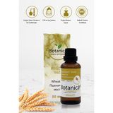 Botanica Buğday Yağı - Triticum Vulgare - Cilt Onarıcı Nemlendirici Sivilce ve Cilt Problemlerine Karşı Etkili - 50 Ml