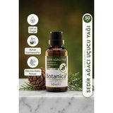 Botanica Sedir Ağacı Uçucu Yağı %100 Saf Saç Güçlendirici Kepek Önleyici Cedarwood Oil 50 ml Pura Morena
