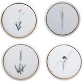 Botanical 21CM 4'lü Pasta Takımı 04ALM007234