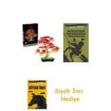 Botanicals Japon Kırmızı Akçaağaç Bonsa + Dünyanın Merkezine Yolculuk + Siyah İnci Hediye
