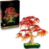 Botanicals Japon Kırmızı Akçaağaç Bonsai Ağacı 10348 - Kırmızı ve Kehribar Sarısı Yapra