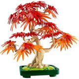Botanicals Japon Kırmızı Akçaağaç Bonsai Ağacı 10348