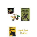 Botanicals Mini Bonsai Ağaçları 10373 – + Dünyanın Merkezine Yolculuk + Siyah İnci Hediye
