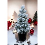 BotaniFicus Kar Desenli Yılbaşı Çam Ağacı 42 cm