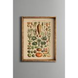 Botanik Sebze Koleksiyonu - Vintage Desenli Çerçeve - İnce Model, Altın1, 21 x 30