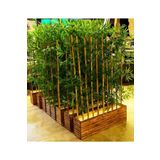 BotanikBahçem Yapay Bambu Ağacı 100 Cm Boy Bamboo Çiçekler 1. Sınıf Çam Ağacı Lambiri Ahşap Saksıda