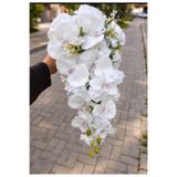Botanikelbuketleri Akışlı orkideli gelin çiçeği ve damat yaka ile birlikte