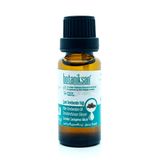 Botaniksan 20 ml Çam Terebentin Yağı