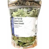 Botaniksan 40 gr Çınar Yaprağı