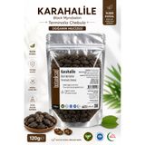 botaniksan Karahalile 120gr – Terminalia Chebula (Siyah Halile) Doğal Bitkisel Ürün