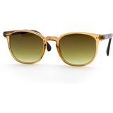 BOTTICELLI BT127C201P Unisex Limited Güneş Gözlüğü