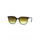 BOTTICELLI BT128C202P Unisex Limited Güneş Gözlüğü