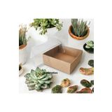 BOXSTATION 11x8x2.5 Altı Kraft Üstü Asetat Kutu 100 Adet