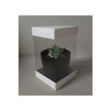 BOXSTATION 12x12x20 Siyah/Beyaz Üst ve Alt Taban Asetat Kutu 3 Adet