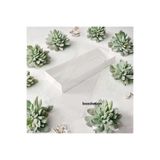 BOXSTATION 6,5x16x2,5 cm Asetat Kapak Beyaz Kutu 100 Adet