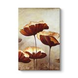 Boyama Gelincikler Tablosu 50 x 75