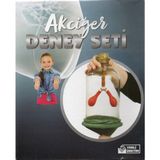 Bozkırlı Akciğer Modeli Deney Seti