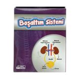 Bozkırlı Böbrek Boşaltım Sistemi Deney Seti