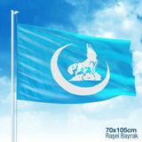 Bozkurt Hilal Mavi Sancak Bayrak MHP (70x105 CM) Raşel Kumaş