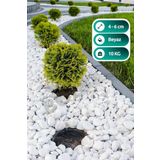 Bozsan Beyaz Dolomit Taş 10 Kg 4-6cm Dolomit Taşı Bahçe Süs Akvaryum Taşı Dere Çakıl Taşı
