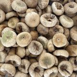 Boztepe 1 Kg Kuru İncir