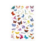 BP Tattoo Renkli Kelebekler Tırnak Sticker Nail Art Tırnak Dövmesi