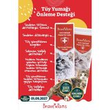 Brave Paws Anti-Hairball Malt Macun Kedi Maltı Kediler İçin Tüy Yumağı Önleme Desteği – Sindirimi Destekler