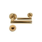 BRAWON DOOR HANDLES Vega Gold Wc Tipi Paslanmaz Kapı Kolu Takım