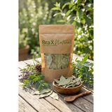 Brax Okaliptus Yaprağı Doğal Kurutulmuş 50GR